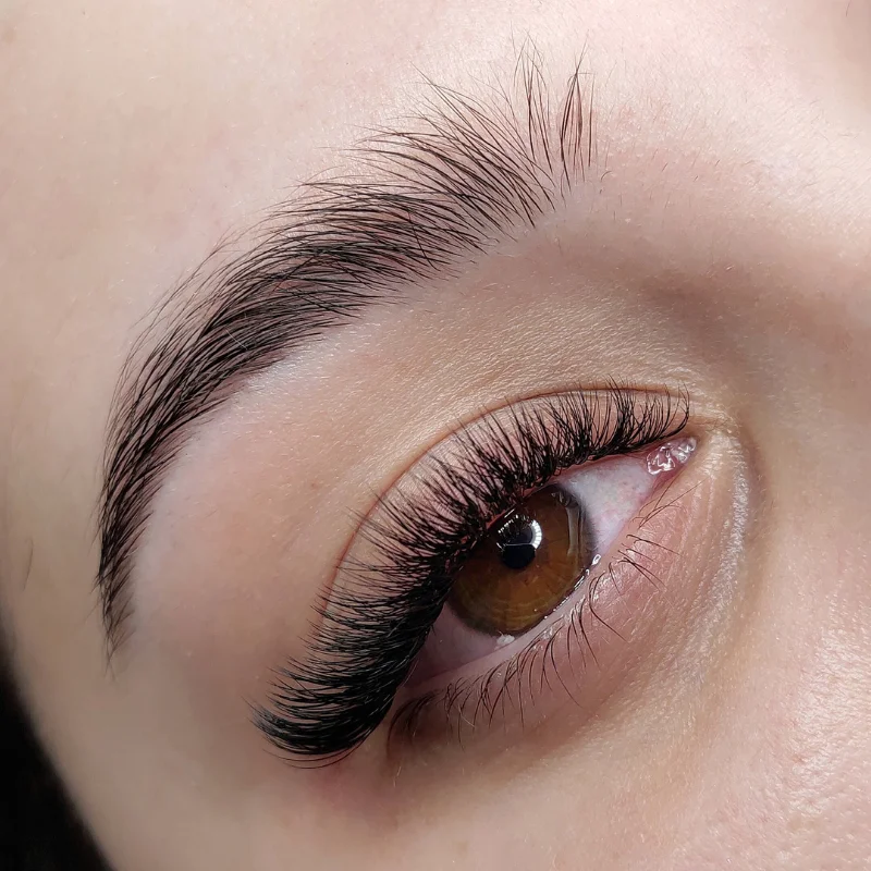 Brow Lamination | Lash Lift online courses | Brisbane Australia | Beauty therapy accreditation